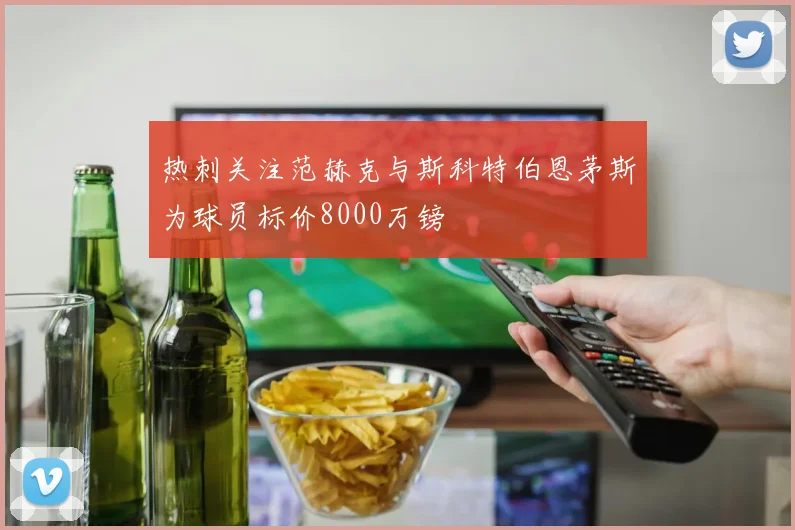 热刺关注范赫克与斯科特伯恩茅斯为球员标价8000万镑