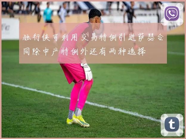 独行侠可利用交易特例引进萨瑟合同除中产特例外还有两种选择